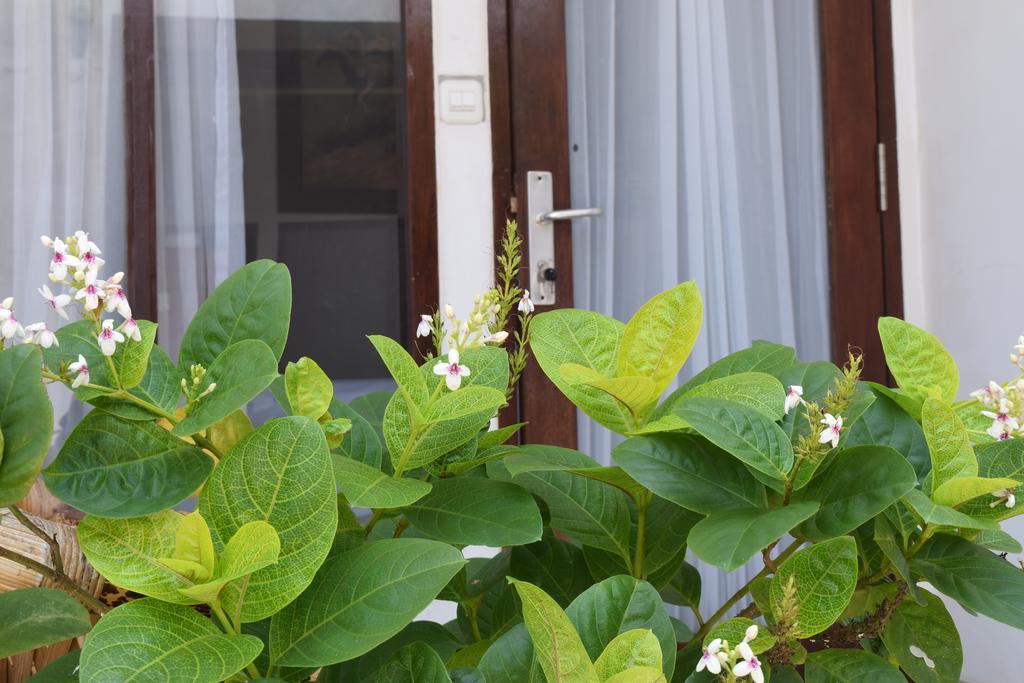 Gili Sands Hotel & Bar Gili Trawangan Bilik gambar